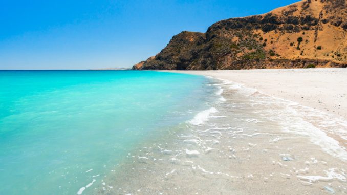 envato-elementsgx645